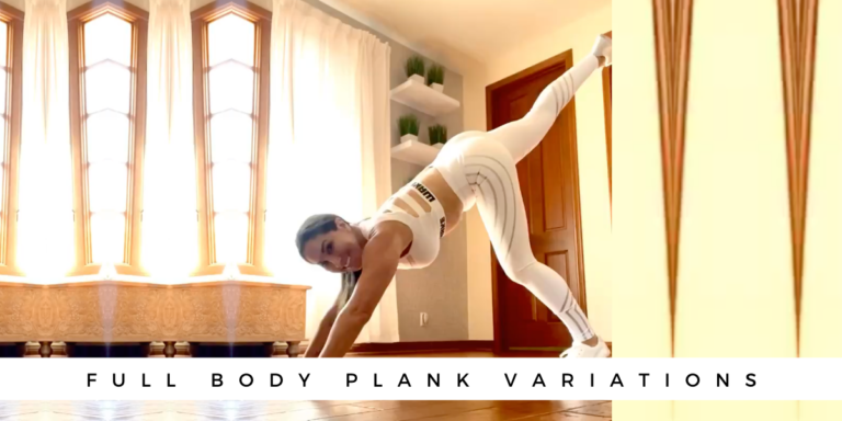 Full Body Plank Variations – Natalie Jill Fitness