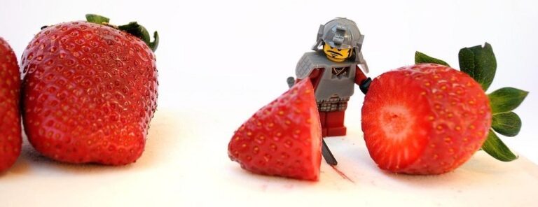 lego-strawberry.jpg